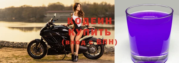 винт Лагань