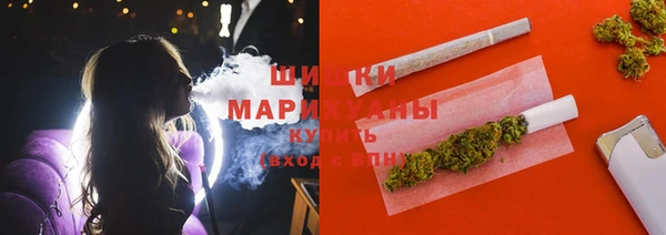 винт Лагань