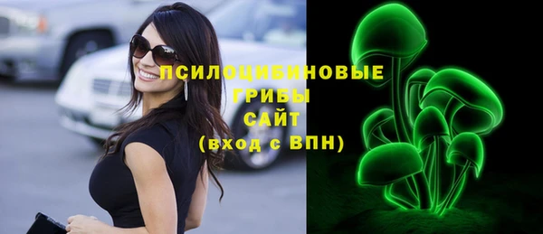Альфа ПВП Лиски