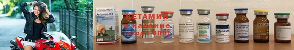 винт Лагань