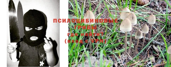винт Лабытнанги