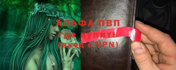 винт Лагань