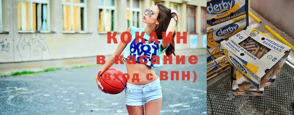винт Лагань