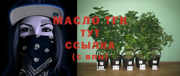 винт Лагань