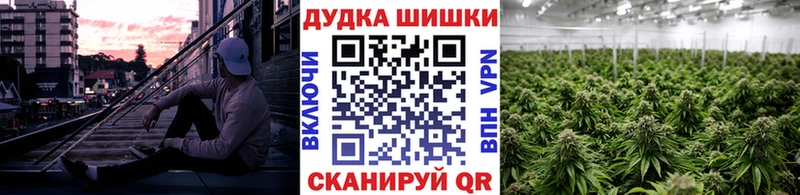 купить наркотики сайты  Называевск  Конопля ГИДРОПОН 
